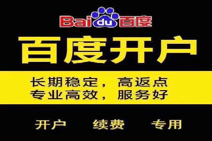 SEM托管公司案例研究：优化策略解析